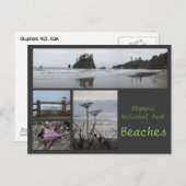 オリンピックNP (ビーチ2) ポストカード (正面/裏面)