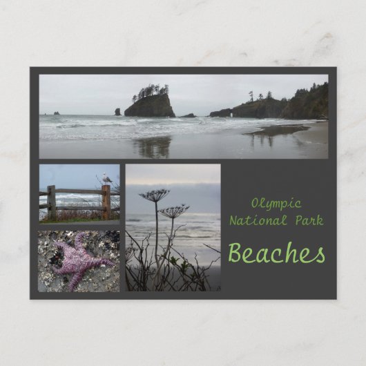 オリンピックNP (ビーチ2) ポストカード (正面)