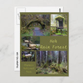 オリンピックNP （ホー・レインフォレスト2） ポストカード (正面/裏面)