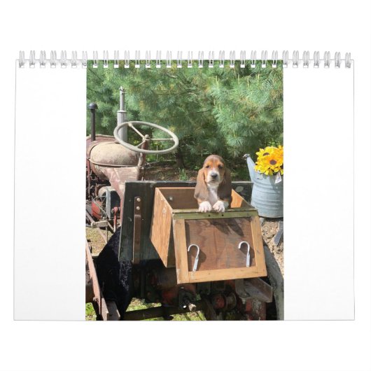 オリーブおよび列車の子犬2019年 カレンダー (カバー)