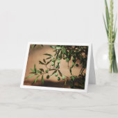 オリーブつるの木からグリーンオリーブ カード (正面)