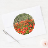 オリーブの古い木の下の赤いケシの花 ラウンドシール (封筒)
