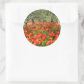 オリーブの古い木の下の赤いケシの花 ラウンドシール (バッグ)