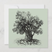 オリーブの古木 (正面)