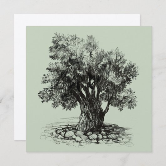 オリーブの古木 (正面/裏面)