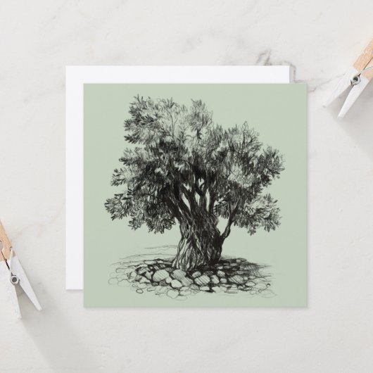 オリーブの古木 (正面/裏面インサイチュ)