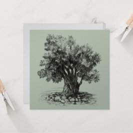 オリーブの古木