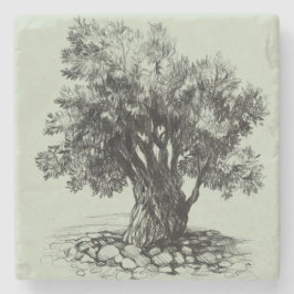 オリーブの古木 ストーンコースター