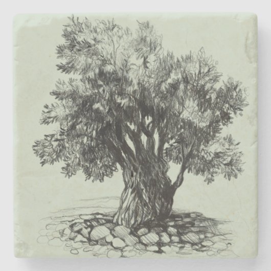 オリーブの古木 ストーンコースター (正面)
