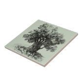 オリーブの古木 タイル (側面)