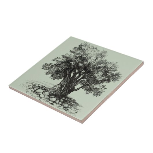 オリーブの古木 タイル (側面)