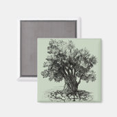 オリーブの古木 マグネット (正面/裏面)