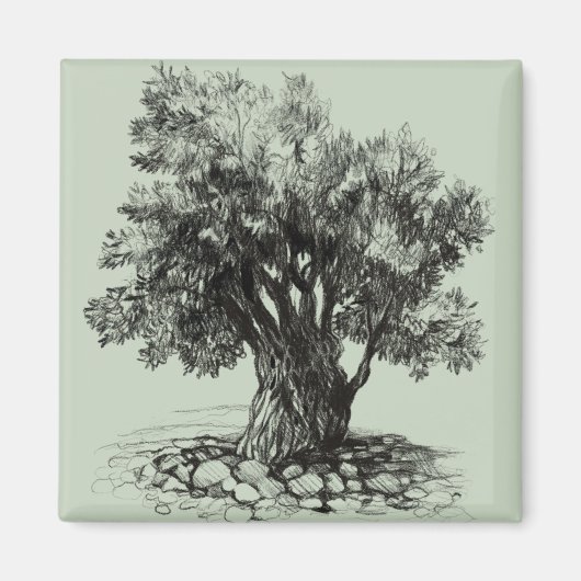 オリーブの古木 マグネット (正面)