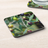 オリーブの成長 コースター (左側)