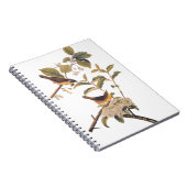オリーブの木にメリーランドのイエロースロートオードボンバード ノートブック (右側)