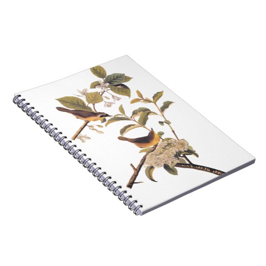 オリーブの木にメリーランドのイエロースロートオードボンバード ノートブック (右側)