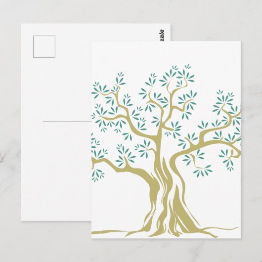オリーブの木のスケッチ ポストカード (正面/裏面)