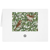 オリーブの木のナイチンゲール (裏面横)