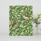 オリーブの木のナイチンゲール2 (スタンド正面)