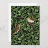 オリーブの木のナイチンゲール3 (正面/裏面)