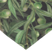 オリーブの木のナイチンゲール3 テーブルクロス (アングル)