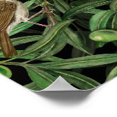 オリーブの木のナイチンゲール3 ポスター (角)