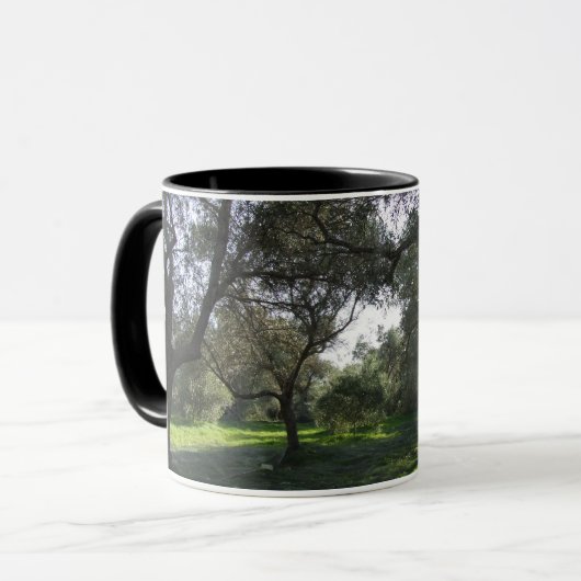 オリーブの木のマグ マグカップ (正面左)