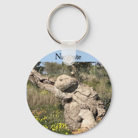 オリーブの木の位置 キーホルダー (正面)