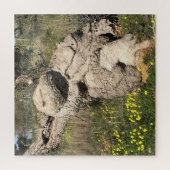 オリーブの木の位置 ジグソーパズル (縦)