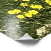 オリーブの木の位置 フォトプリント            (角)