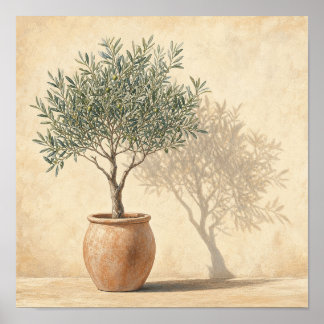 オリーブの木の鉢植えの植物画スクエアウォールアートP ポスター