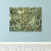 オリーブの木葉の キャンバスプリント (インサイチュ (ウッドフロア))