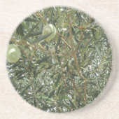 オリーブの木葉の コースター (正面)