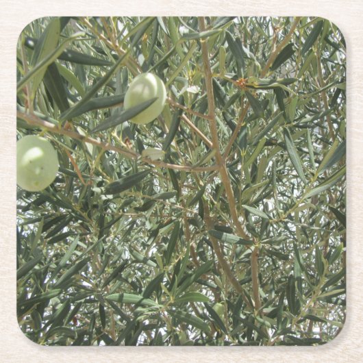 オリーブの木葉の スクエアペーパーコースター (正面)