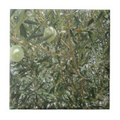 オリーブの木葉の タイル (正面)