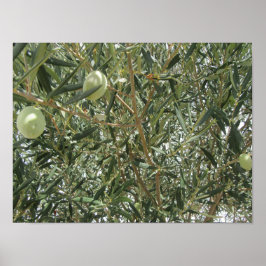 オリーブの木葉の ポスター