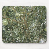 オリーブの木葉の マウスパッド (正面)