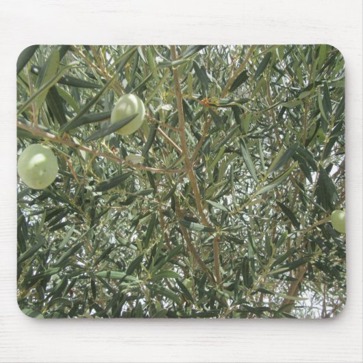 オリーブの木葉の マウスパッド (正面)