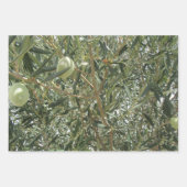 オリーブの木葉の ラッピングペーパーシート (正面2)