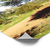 オリーブの木 ポスター (角)