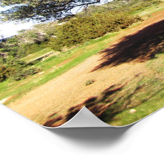 オリーブの木 ポスター (角)