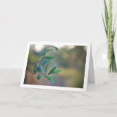 オリーブの木(《写真》ぼけ味の背景) カード (正面)