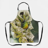 オリーブの背中のユーフォニア、ベリーズバード エプロン (正面)