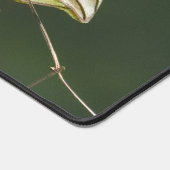 オリーブの背中のユーフォニア、野生動物の鳥の写真 デスクマット (コーナー)