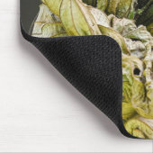 オリーブの背中のユーフォニア、野生動物の鳥の写真 マウスパッド (コーナー)