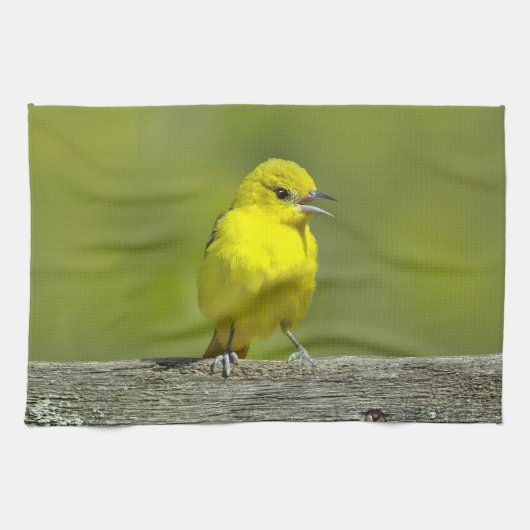 オリーブウグイス - オリジナル写真 キッチンタオル (横)