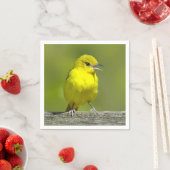 オリーブウグイス - オリジナル写真 スタンダードカクテルナプキン (インサイチュ)