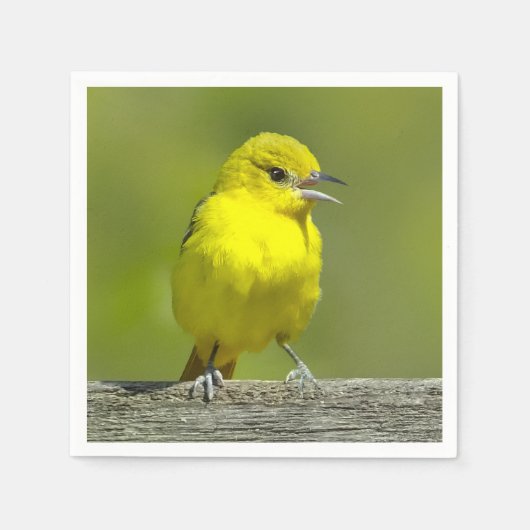 オリーブウグイス - オリジナル写真 スタンダードカクテルナプキン (正面)