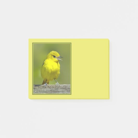 オリーブウグイス - オリジナル写真 ポストイット (正面)