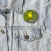 オリーブウグイス - オリジナル写真 缶バッジ (インサイチュ)